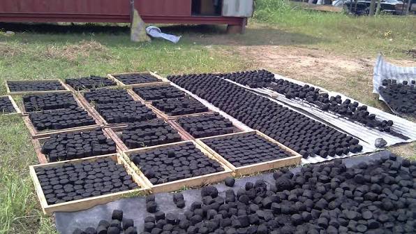Biochar EcoCharb